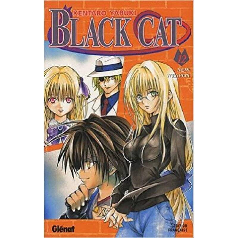BLACK CAT - Tome 12