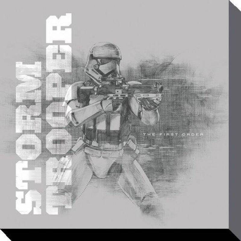 STAR WARS - Canvas 40X40 '38mm' - Episode VII - Snowtrooper Grey