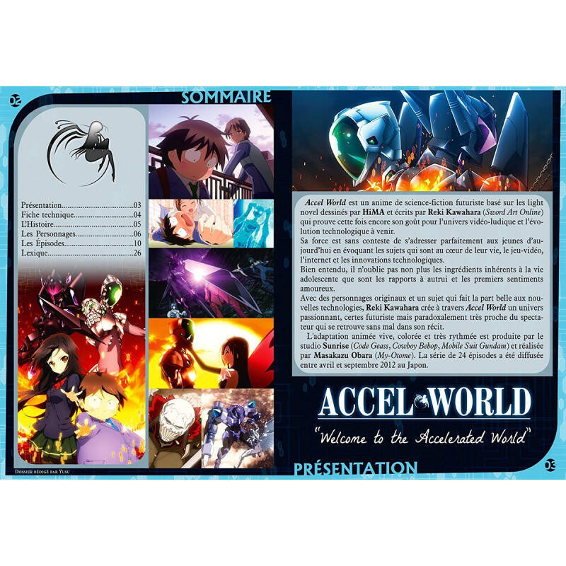 ACCEL WORLD compatible - Intégrale + OAV - Coffret Blu-Ray+Livret - Edit. Saphir