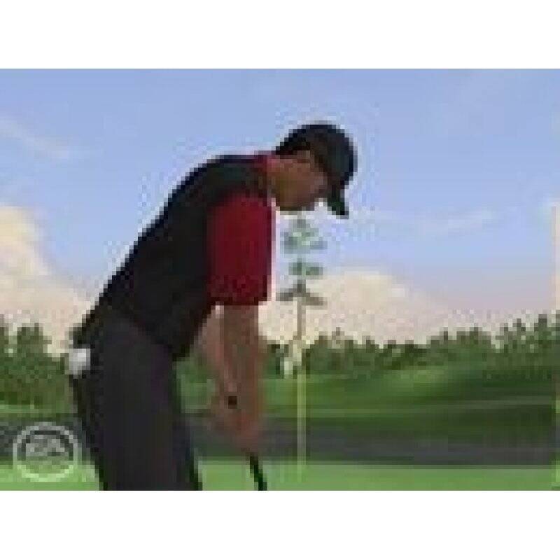Tiger Woods 2006 (PLATINUM*)