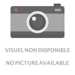 JUNJI ITO - Le Journal de Soïchi