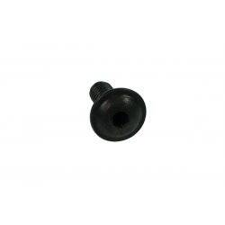 Screw ISO 7380 M4 x 10 hexagon socket fillister head black