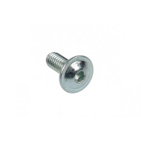 Screw ISO 7380 M4 x 10 hexagonal fillister head
