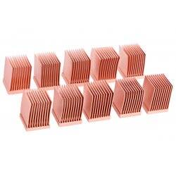 Alphac RAM Cop Heatsinks 10x10mm-10er | 1013936