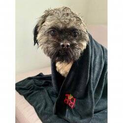 B&B - Professional Antiperspirant towel Small 55x90 (9067)