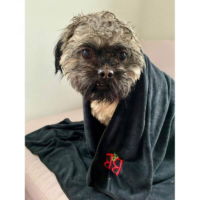 B&B - Professional Antiperspirant towel Small 55x90 (9067)