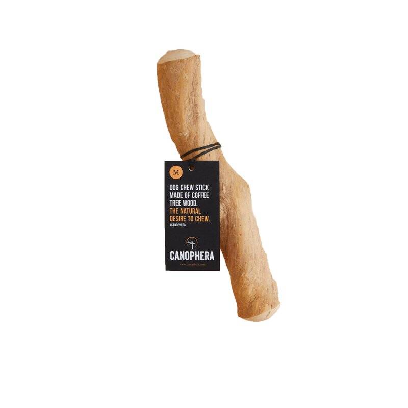 Canophera coffee 22-26cm  M - (CANO0124)