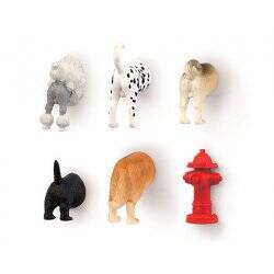 Dog Butt Magnets 6 Per Set