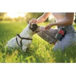 KONG - Treat Bag 13,5 x12,5cm - (KONG9842)