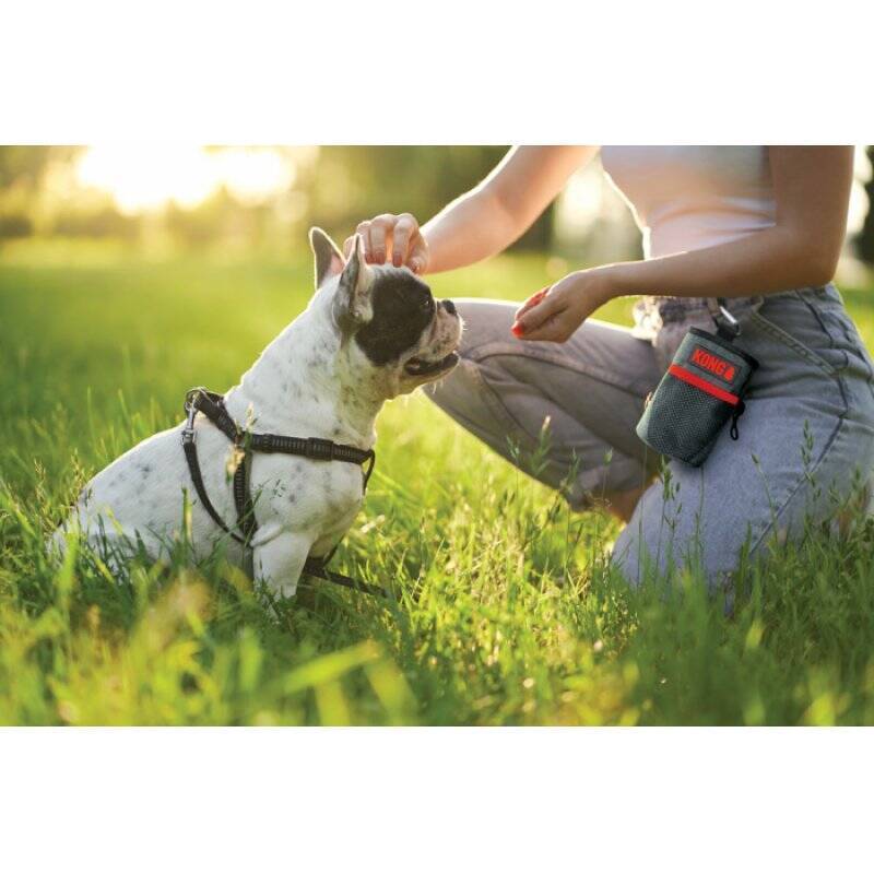 KONG - Treat Bag 13,5 x12,5cm - (KONG9842)