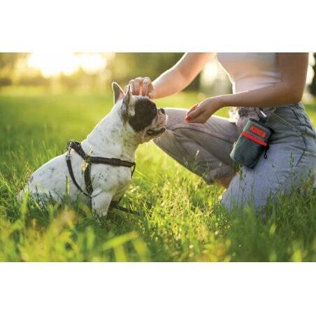 KONG - Treat Bag 13,5 x12,5cm - (KONG9842)