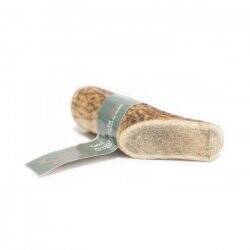 Taki - Deer antler S 10 cm  - (01-605)