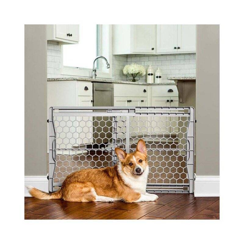 CARLSON -  GATE PLASTIC EXPANDABLE GATE 58x71-107CM - (704.2000)