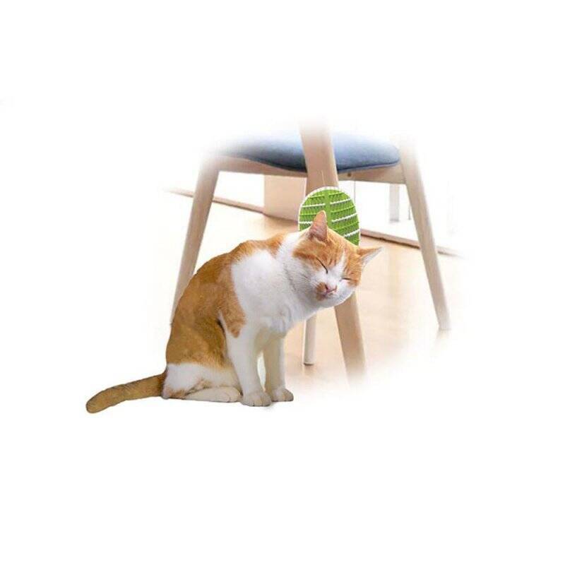 ALL FOR PAWS - Groomer 2 In 1 20.3X11X2,2Cm - (781.1025)