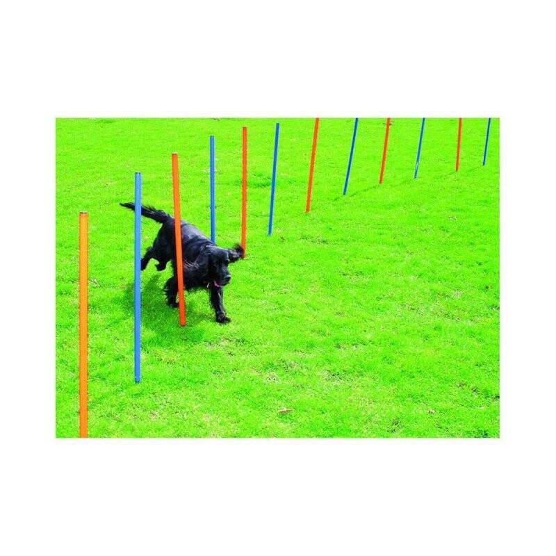 PAWISE - Agility 12pcs Poles - (636.9000)
