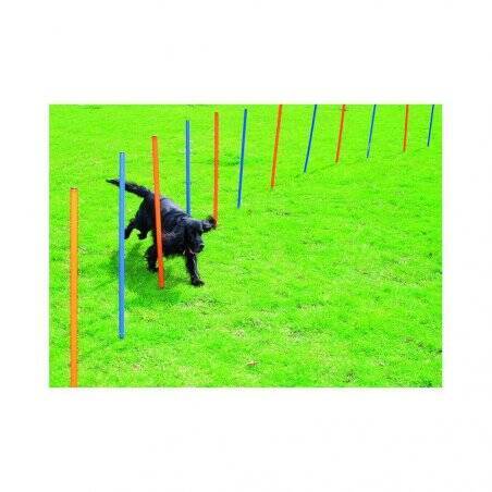 PAWISE - Agility 12pcs Poles - (636.9000)