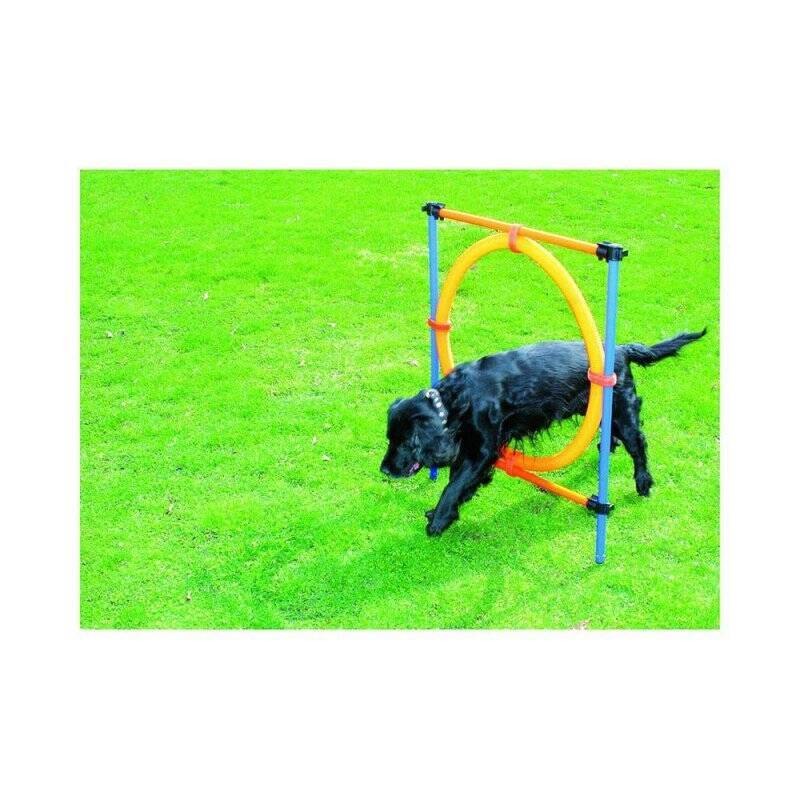 PAWISE - Agility Ring Ø55Cm - (636.9004)