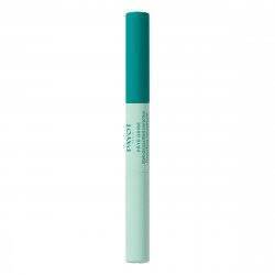 Payot - Pâte Grise duo concealer 2 x 3 ml