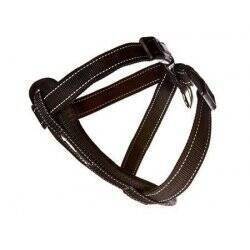 EZYDOG -  Harness Neoprene Black S 6-10Kg Walking/Car Harness - (605.0316)