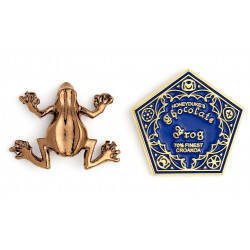 HARRY POTTER - Chocolate Frog - Pin's