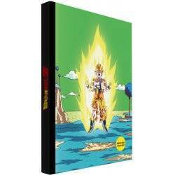 CARNET LUMINEUX DBZ - NAMEK