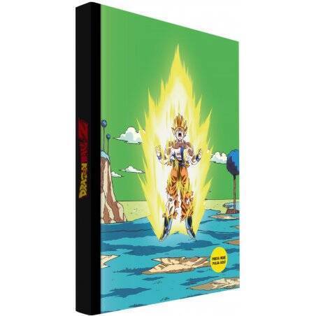 CARNET LUMINEUX DBZ - NAMEK