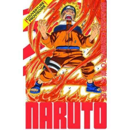 NARUTO - Edition Hokage - Tome 13