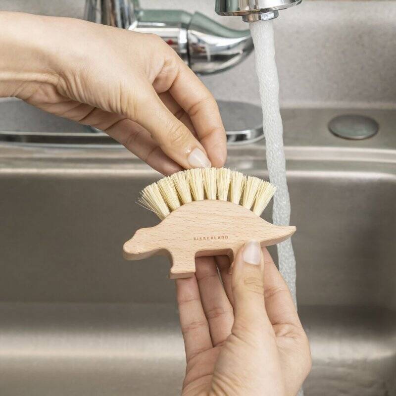 Dino Nail Brush (HW47)