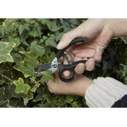 Garden Shears (CD526)