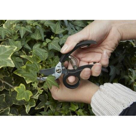 Garden Shears (CD526)