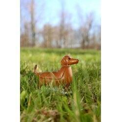 Solar Dachshund - Boudewijn (1612)