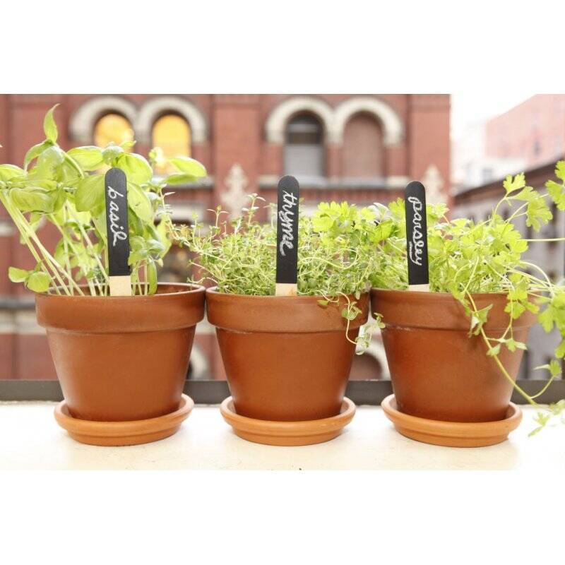 Reusable Garden Markers (GA06)