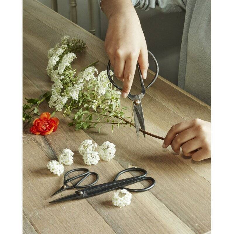 Scissor Set For Garden (SC37)