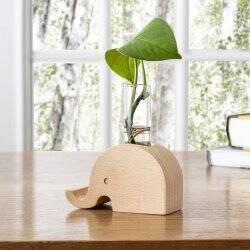 Elephant Propagation Vase (VS01)