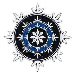 Dungeons & Dragons pack 4 médaillons Neverwinter Heraldry Limited Edition