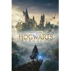 Hogwarts Legacy posters Hogwarts Wizarding World Universe 61 x 91 cm (pack de 5)