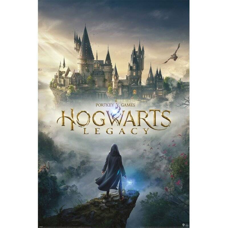 Hogwarts Legacy posters Hogwarts Wizarding World Universe 61 x 91 cm (pack de 5)