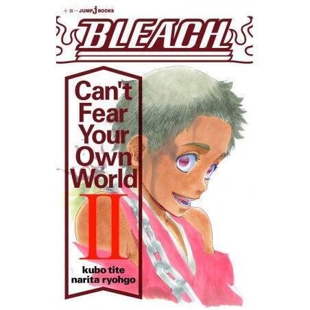 BLEACH - Can't Fear Your Own World - Roman - Tome 2