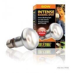EXOTERRA - Intense Basking Spot 50W S20 E27  Orange - (220.2450)