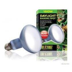 EXOTERRA - Daylight Basking Spot 150W R30 E27  Green - (220.2740)