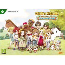 Story of Seasons : A Wonderful Life - Limited Edition