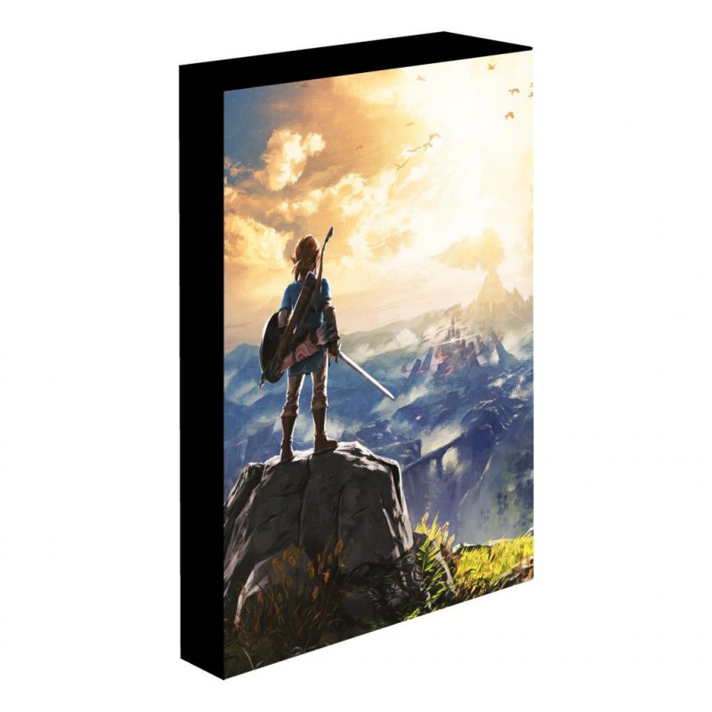 LEGEND OF ZELDA - Into The Wilds - Canvas Lumineux 40X30 Cm