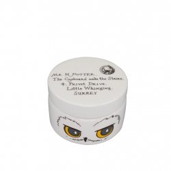 HARRY POTTER - Hedwige - Boite en céramique Ronde