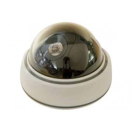 Decoy  Indoor Dome Camera