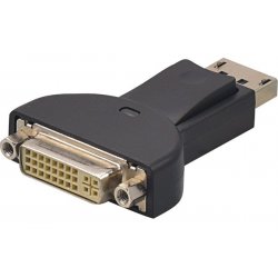 DisplayPort to DVI-D Adapter without cable