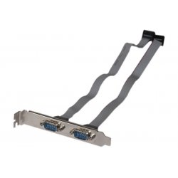 Slot Bracket with 2 x DB9 Ports