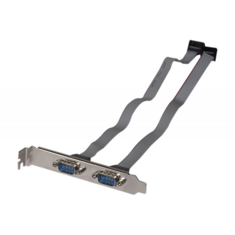 Slot Bracket with 2 x DB9 Ports