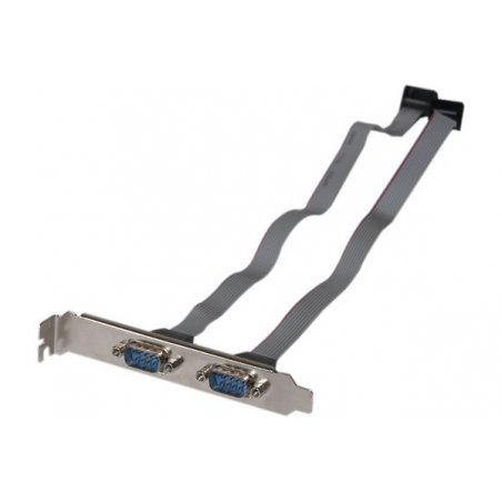 Slot Bracket with 2 x DB9 Ports