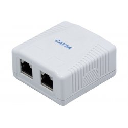 DEXLAN Surface Mounted Box 2 x RJ45 Ports Cat6 Shielded
