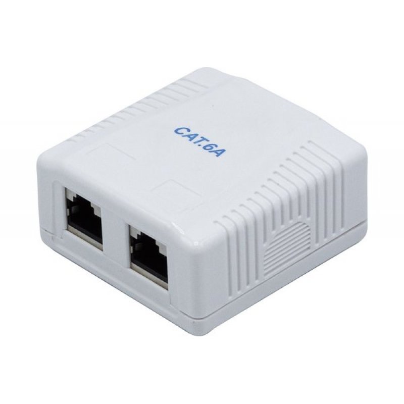 DEXLAN Surface Mounted Box 2 x RJ45 Ports Cat6 Shielded